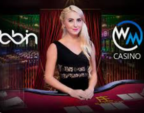 新kiyaun网页版登录手机版